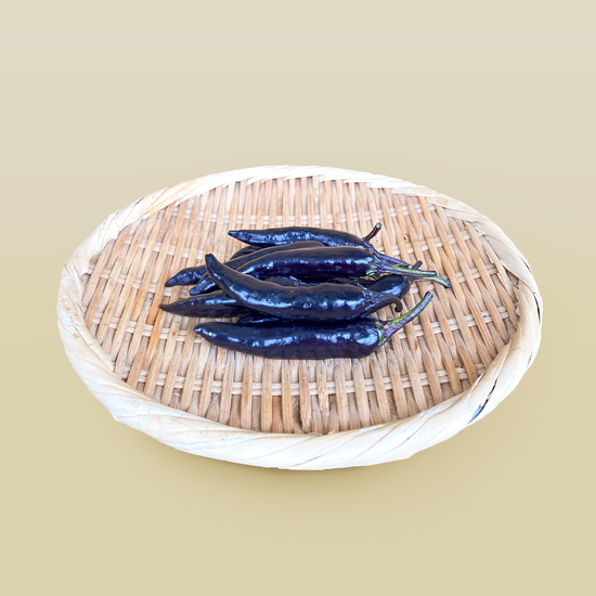 紫とうがらし